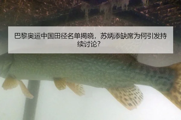 巴黎奥运中国田径名单揭晓，苏炳添缺席为何引发持续讨论？